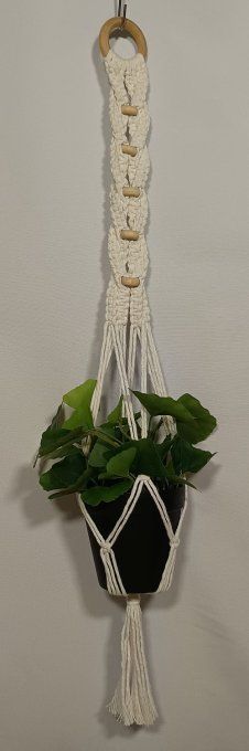 Suspension plante - Belisama