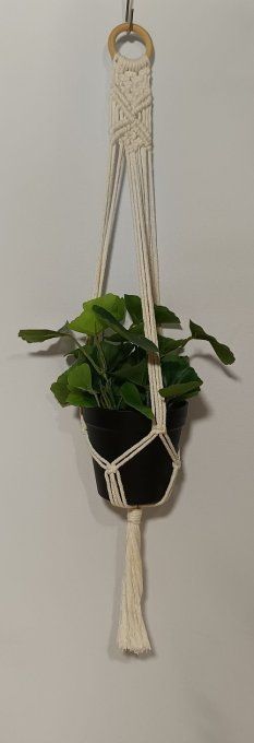 Suspension plante - Bélénos