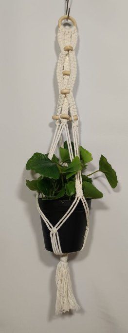 Suspension plante - Lug