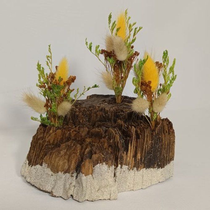 Compo Déco - Citrine